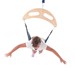 Bungee Frog Swing